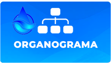 Organograma